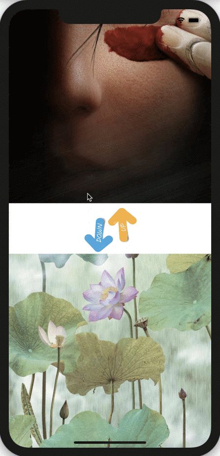 Cover Image of the Post